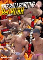 THE BALLBUSTING B-CRUSH〜残虐!!男急所激潰しベスト〜