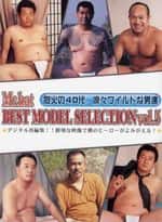 BEST MODEL SELECTION vol.5