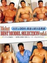 BEST MODEL SELECTION vol.4