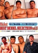 BEST MODEL SELECTION vol.8