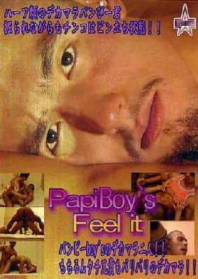 【廃盤セール品】PapiBoy's Feel it (ジャケット・ケースなし)